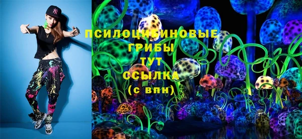 стафф Ессентукская