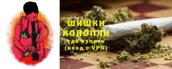 сатива Санкт-Петербург