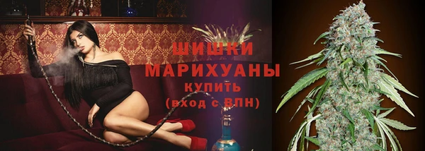 сатива Санкт-Петербург