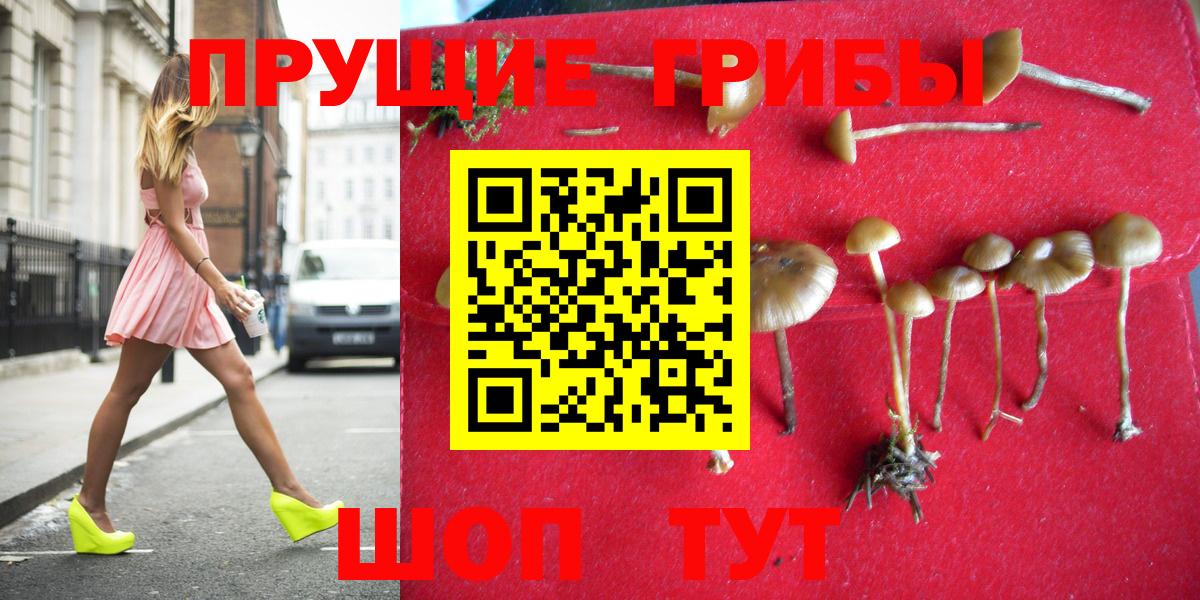 Псилоцибиновые грибы ЛСД  Ноябрьск 